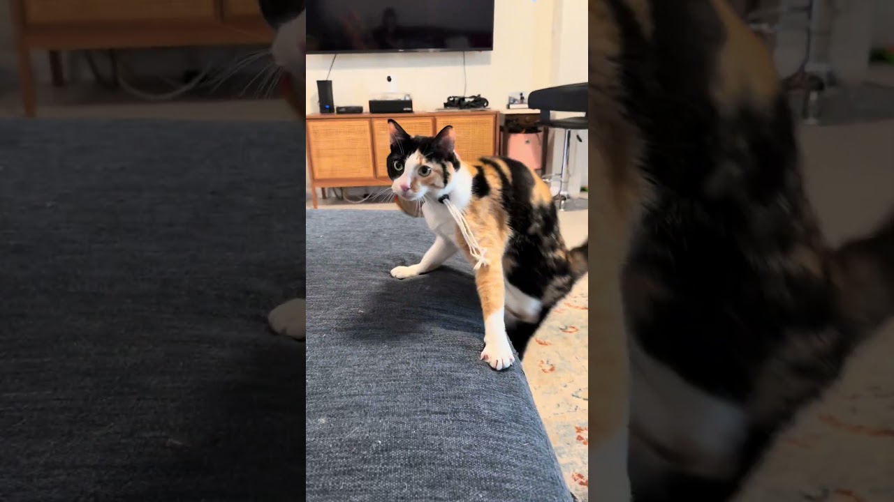 I’ve stopped questioning her