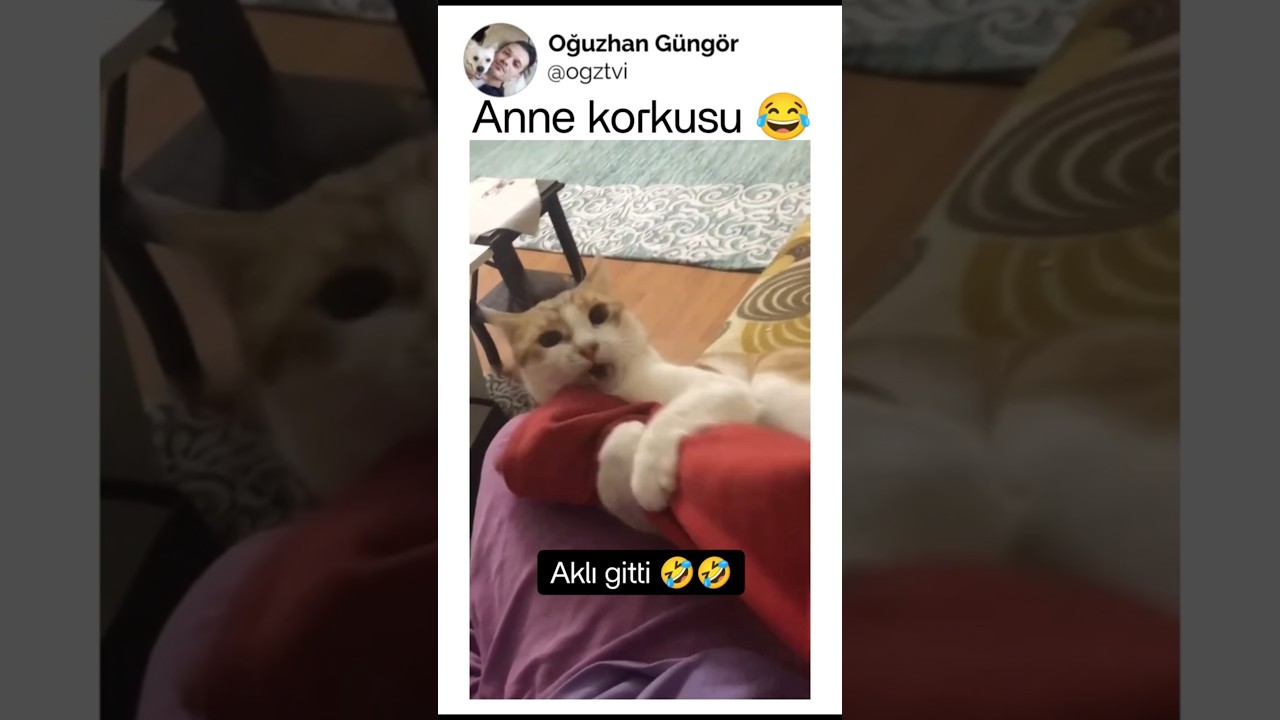 Anne kelimesini duyması yetti