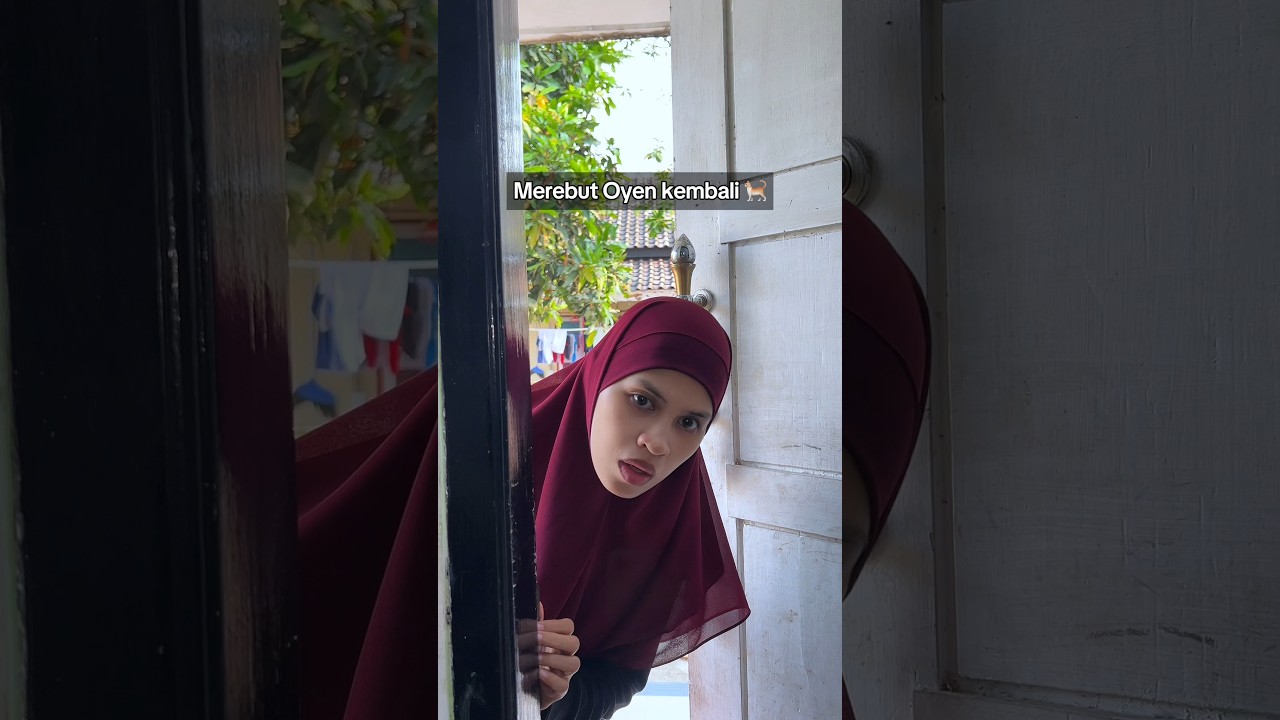 Kembalilah padaku Oyen 😿 #relate #videolucu #funnyvideo #funny #cat #kucing #pancibot #kucinglucu