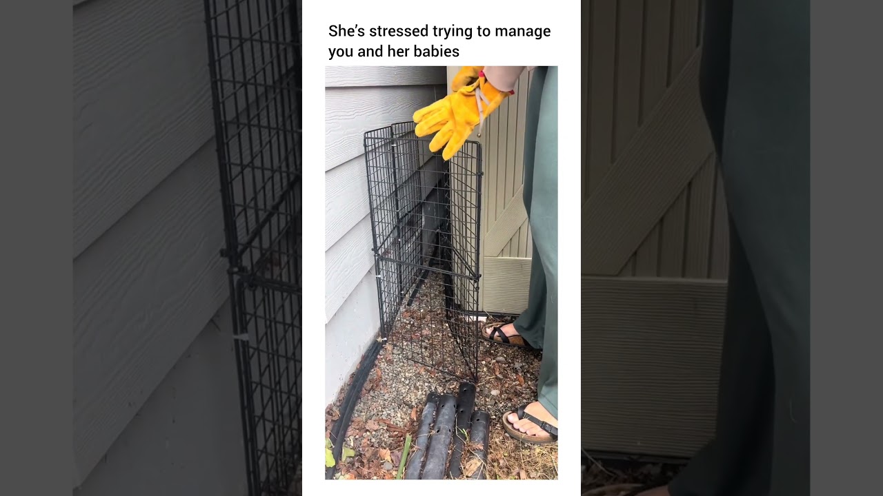 Just sitting there like. 🤣
