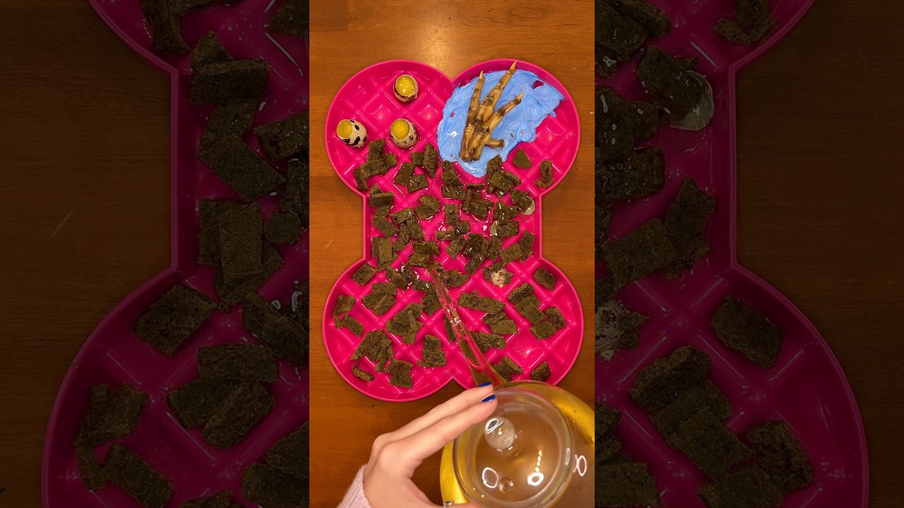 Healthy dinner for my dog 🍳🥛🐕 #shorts #dog