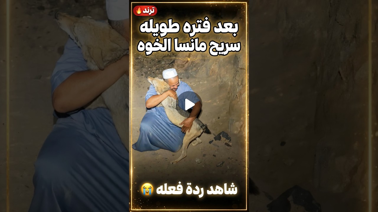 بعد فتره طويله سريح مانسا الخوه شاهد ردة فعله🥺 ##ترند #اكسبلور #هاشتاق #الان #اكسبلورexplore #viral