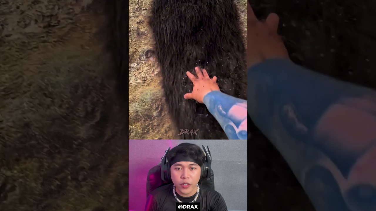 Semua Orang Mengira Ini Bulu Kucing Ternyata Ini Alasannya! 😱 #shorts