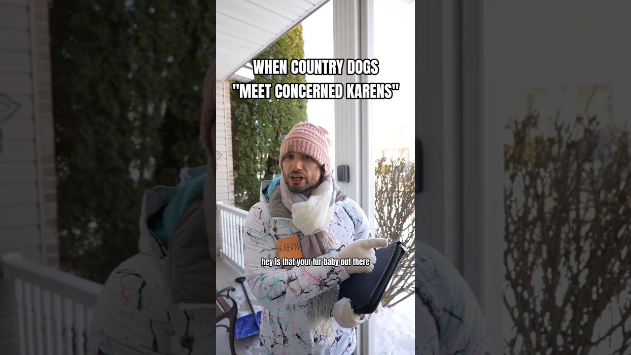 When country dogs meet concerned Karens - Published by Digital Taxidermy