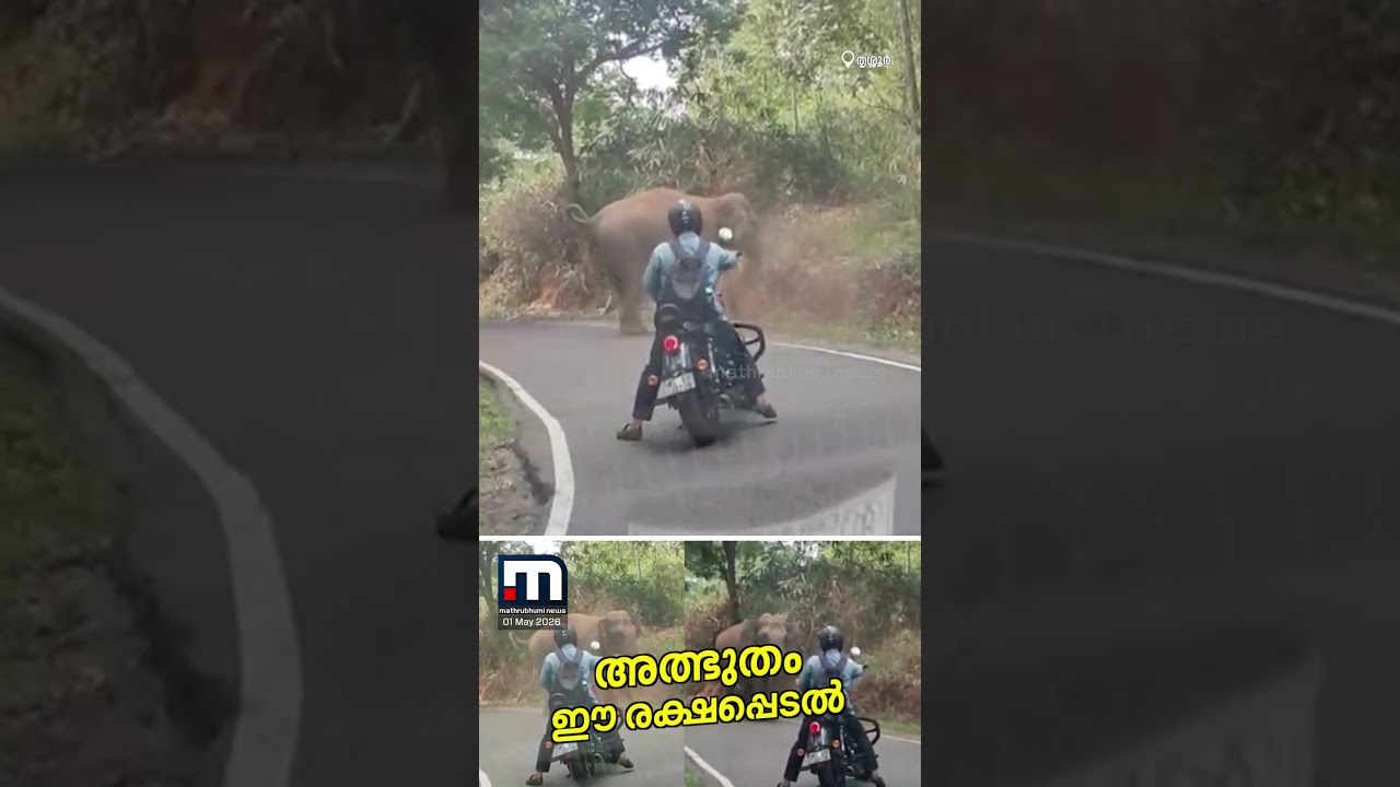 അത്ഭുതമീ രക്ഷപ്പെടൽ !! കാട്ടാനയുടെ മുന്നിൽപ്പെട്ട് ബൈക്ക് യാത്രികൻ | Wild Elephant | Narrow Escape