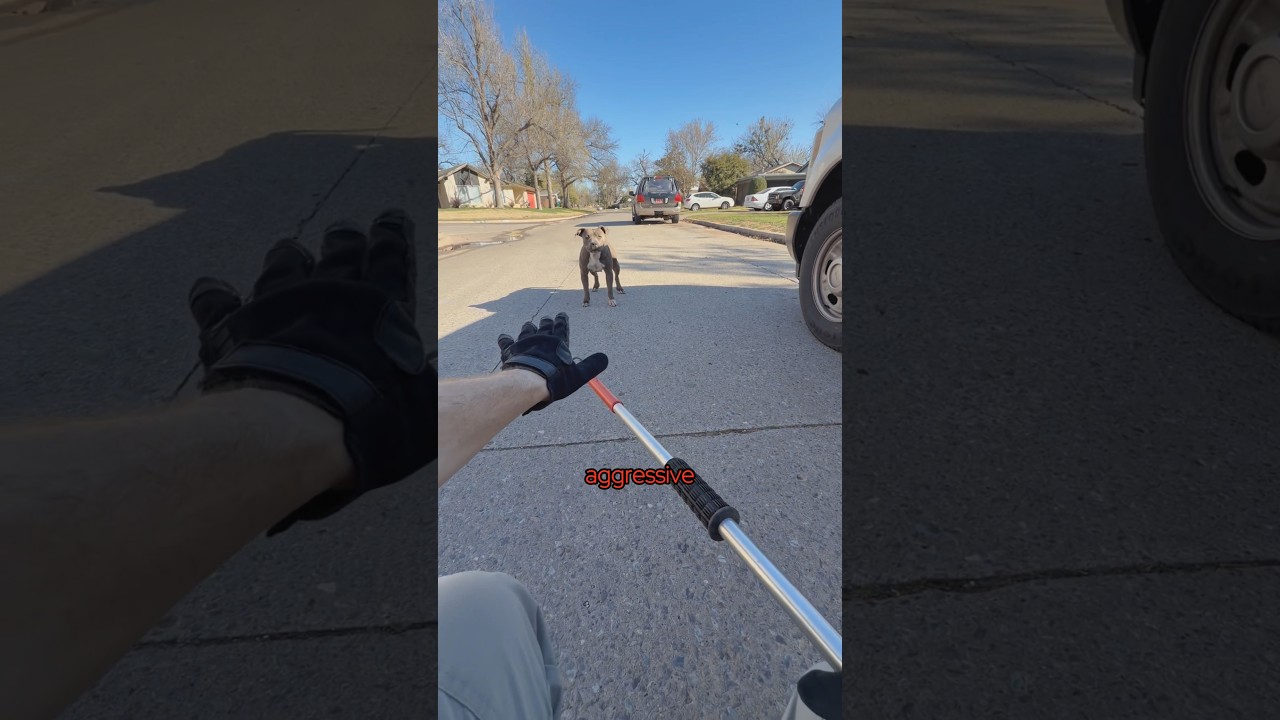 Them kids don't listen ik she's stressed