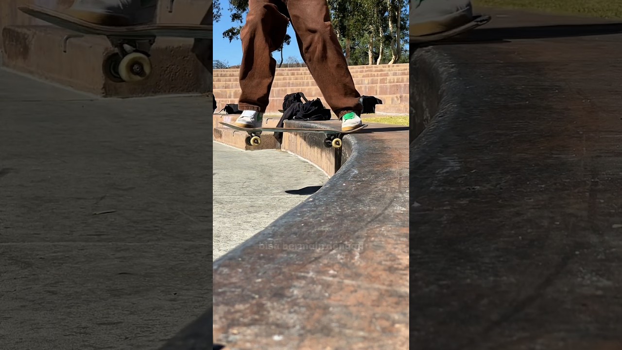 Kecerdasan Skater Agar Bisa Bermain 🛹