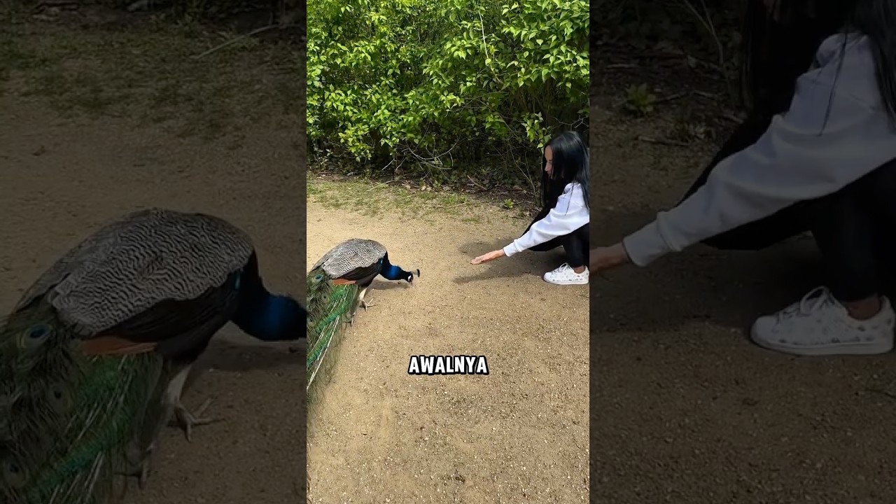 Mimpi wanita ini akhirnya bisa terwujud ❤️