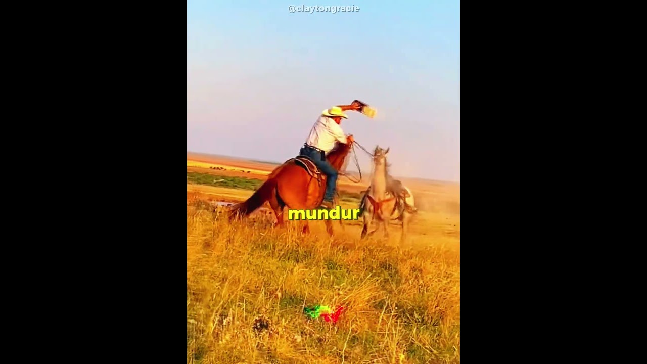 Kuda Ini Merasakan Kehadiran Pemiliknya Lagi 🐴💔