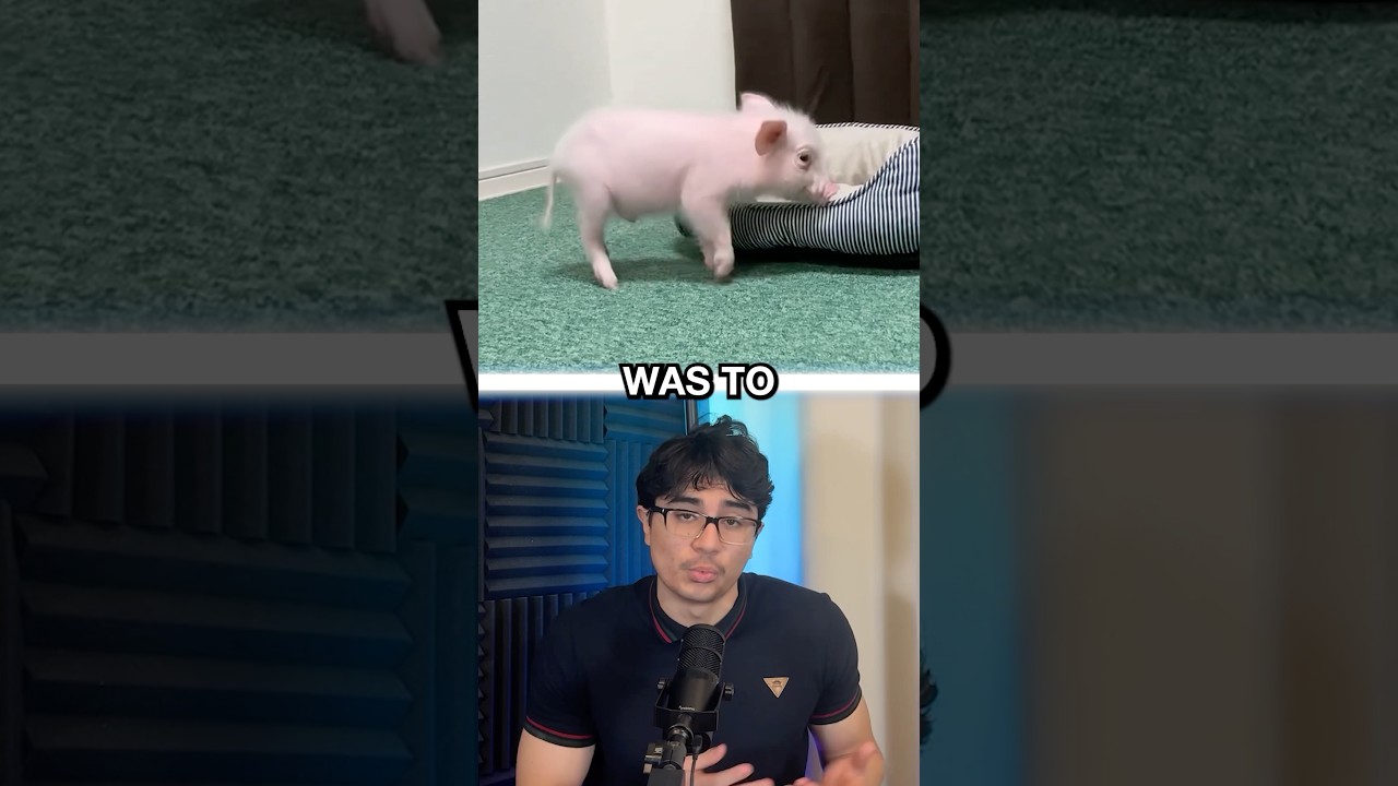 Man Raises Pig for 100 days Then Eats it… - Published by James Stories