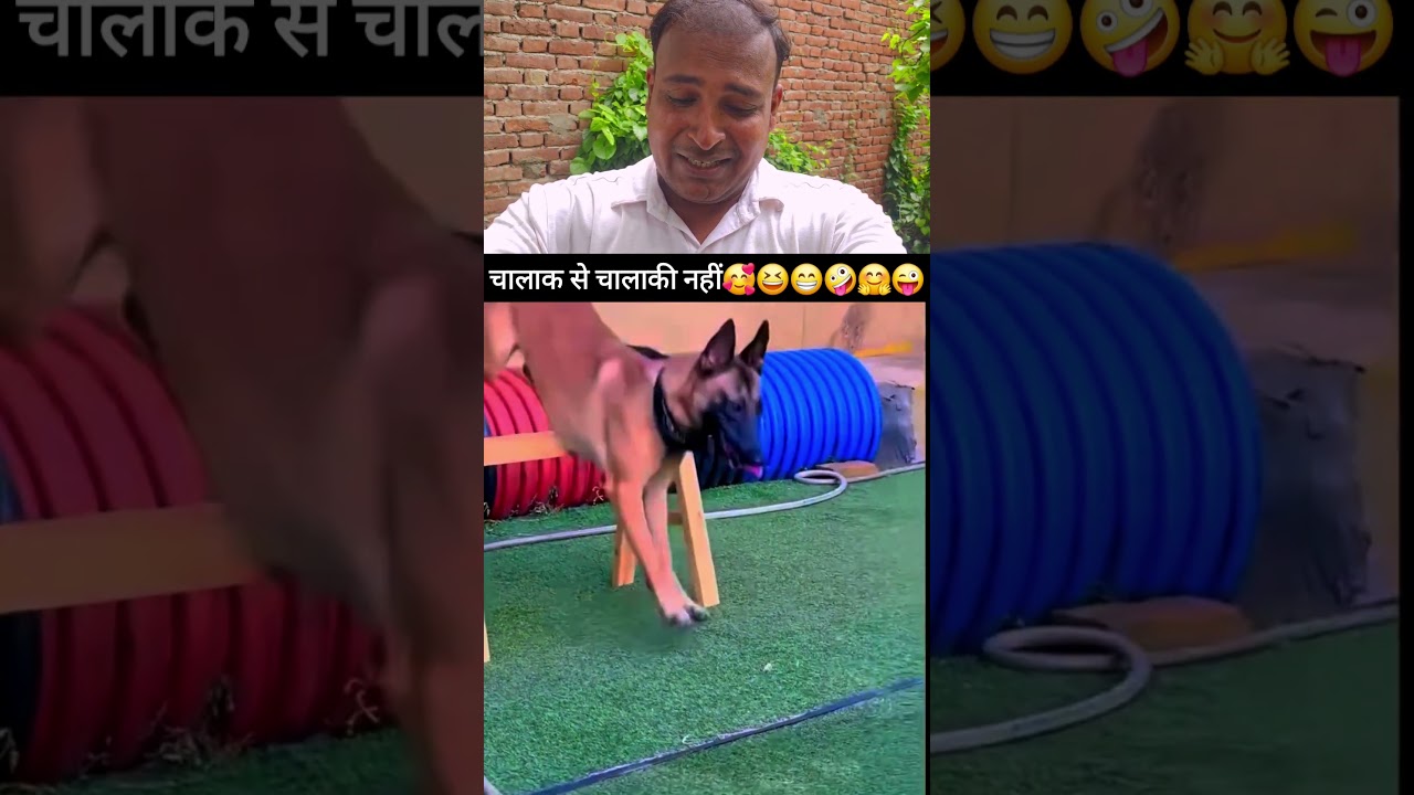 Dog के साथ pranks #trendingshorts ##funny #funnymoments #lovemoments #petlovers #doglover
