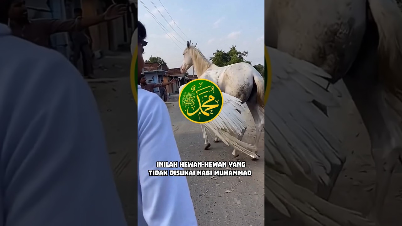 HEWAN YANG TIDAK DISUKAI NABI MUHAMMAD PART 2