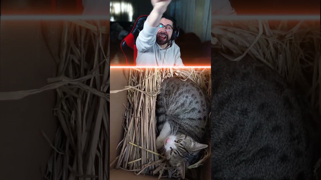 البسة اخذت دور الدجاجة 😂