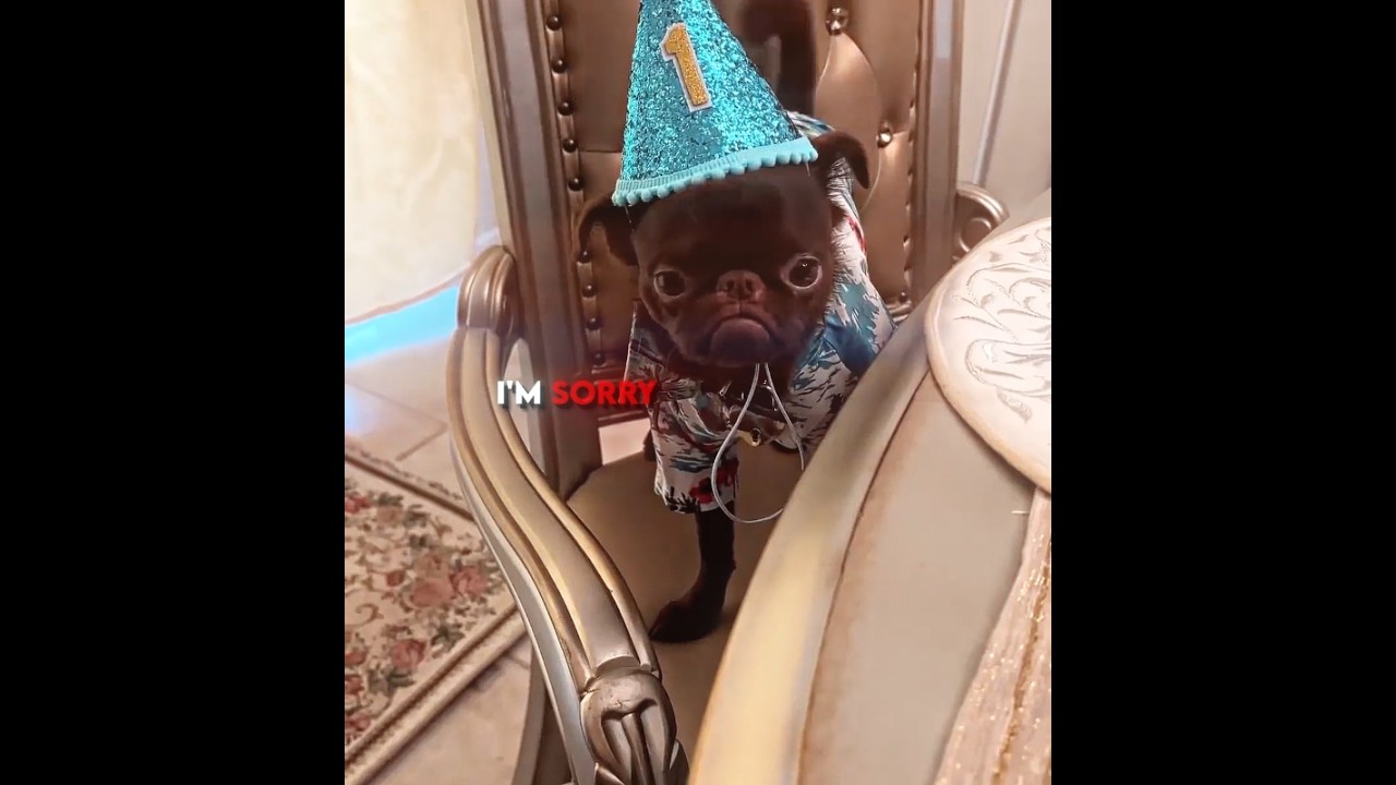 His First Birthday... And Nobody Came! 😢🎂
