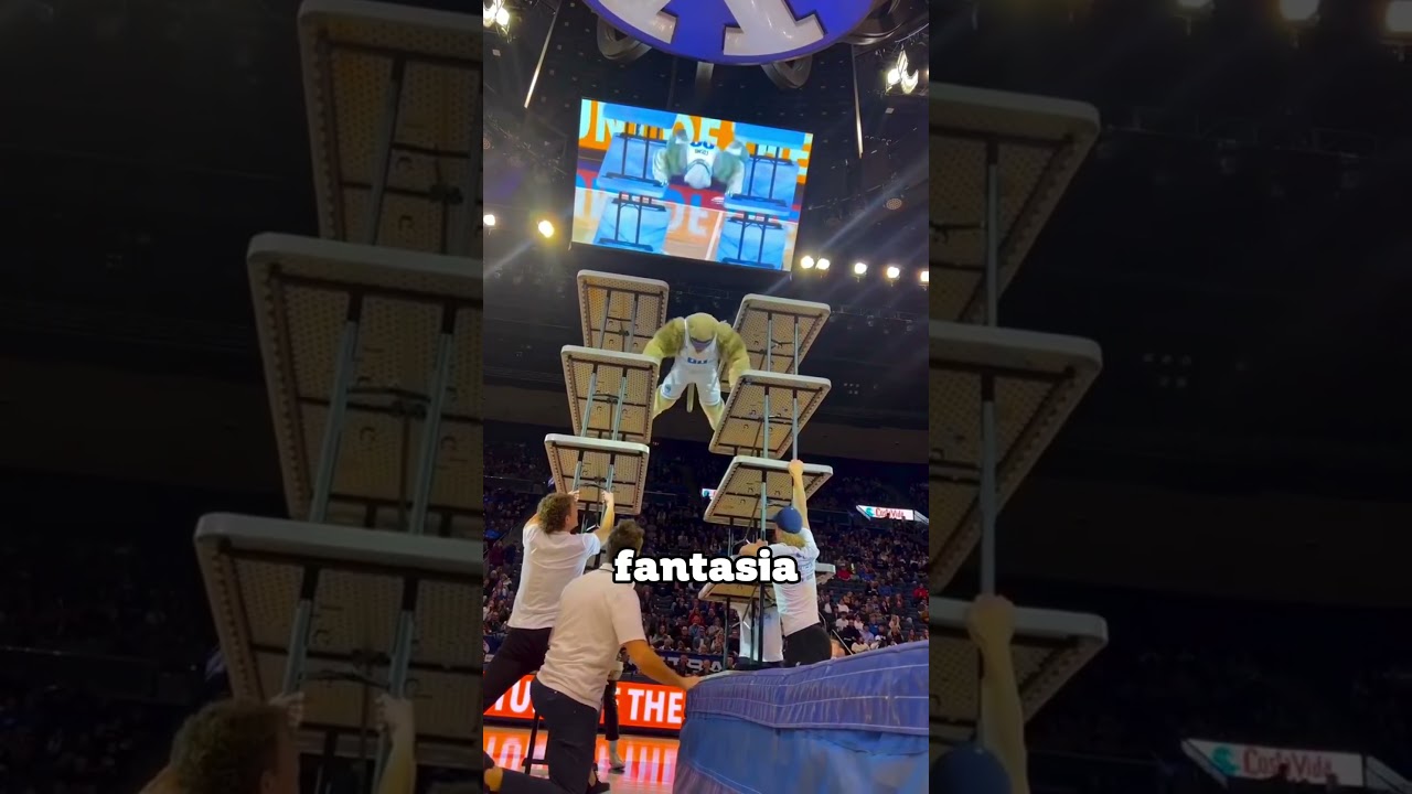 O mascote que desafia as leis da gravidade! 🏆😼 (@cosmo_cougar via IG) #shorts