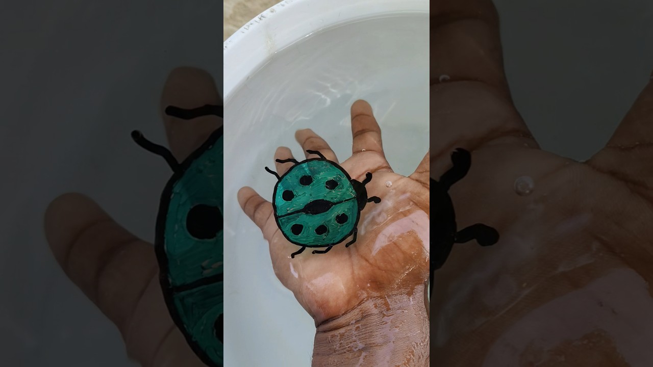 Lady  bug 🐛 🪲 🪲 🪲 ant with duck 🦆 🦆 drawing wow its amezing on water #shorts #drawing #viral