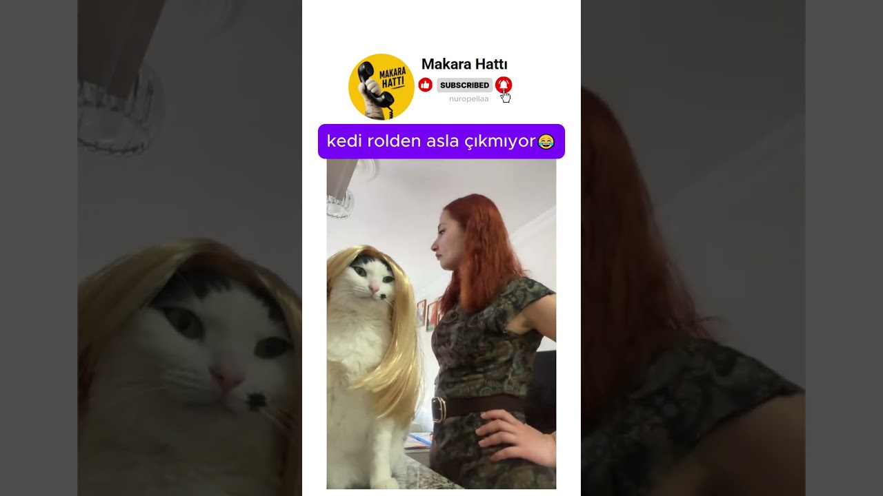 kedi rolden asla çıkmıyor 😊😂