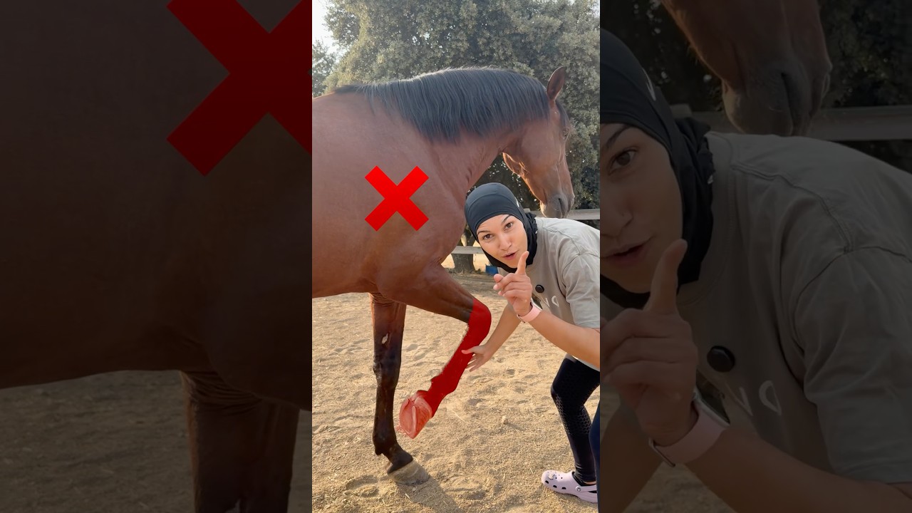 ¿Lo haces bien? ✅❌ Pequeños detalles que marcan la diferencia en su bienestar.🐴👇 #caballos #horses