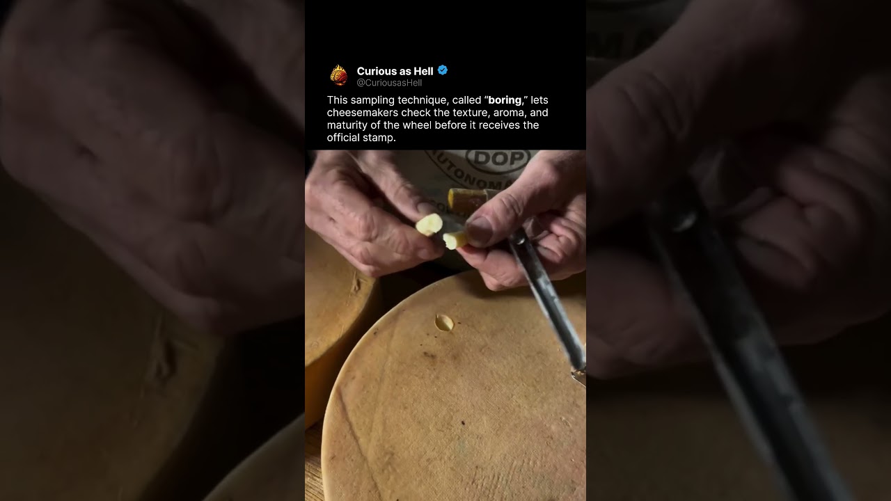 How Cheese Gets Its Official Stamp 🧀