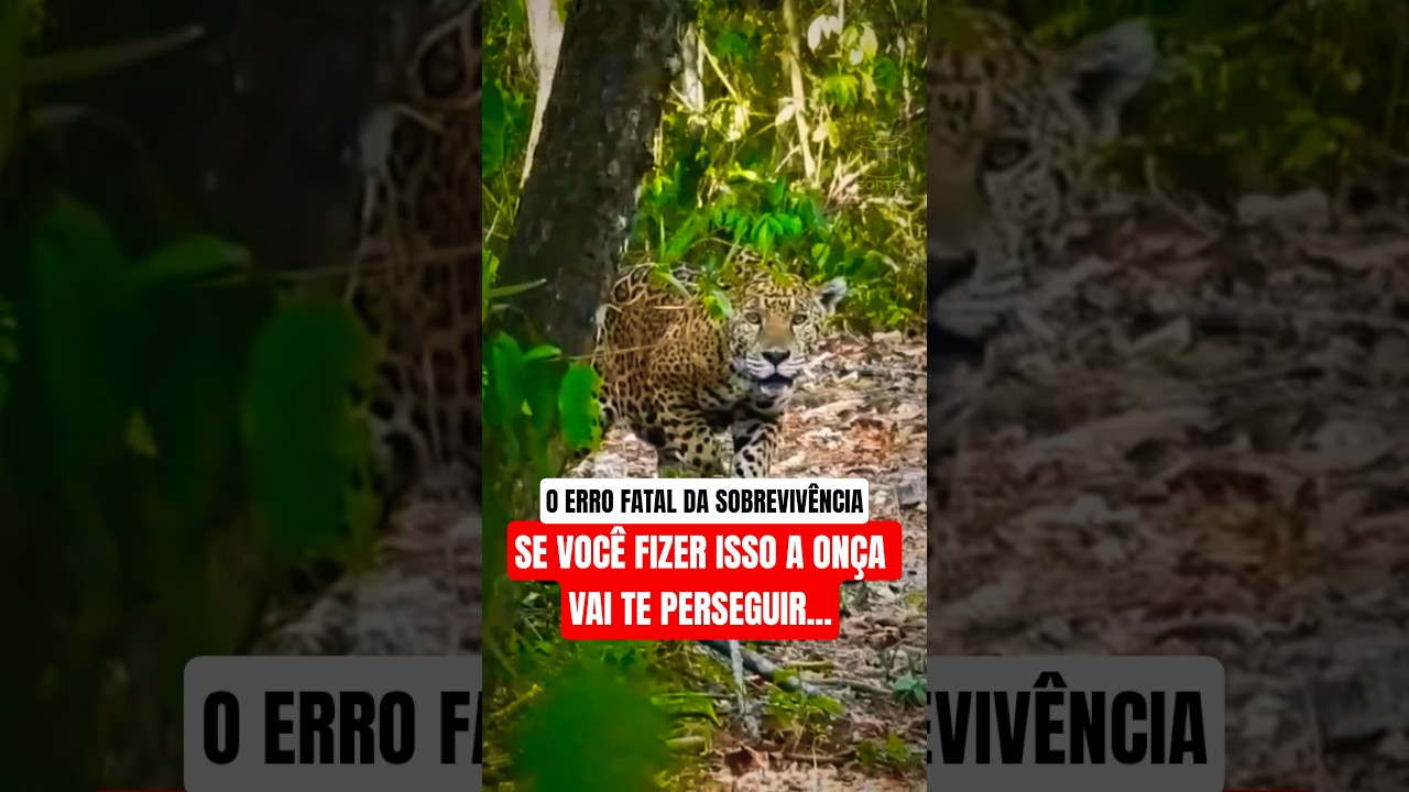 O ERRO FATAL QUE ATRAI PREDADORES NA SELVA #sobrevivência #onça #animais #cortes
