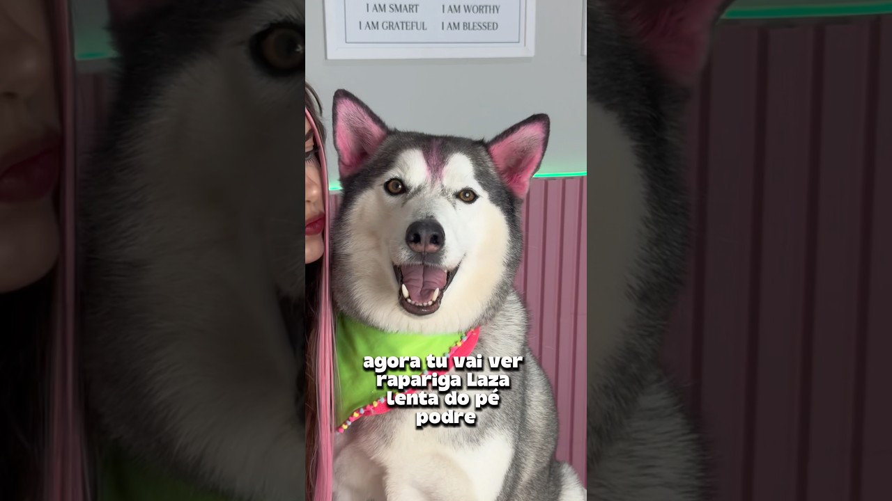 Quando falam que meu cachorro é “só um cachorro” -1000000 aura 🔥😡