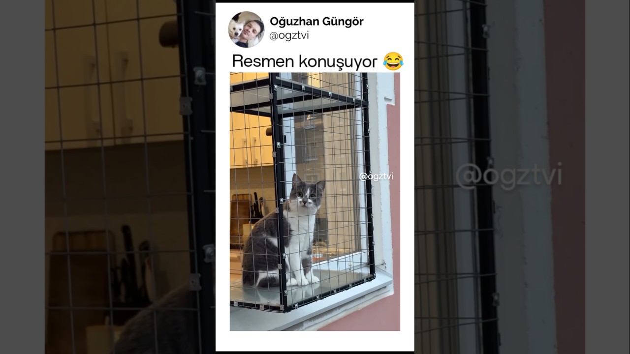 Resmen konuşuyor