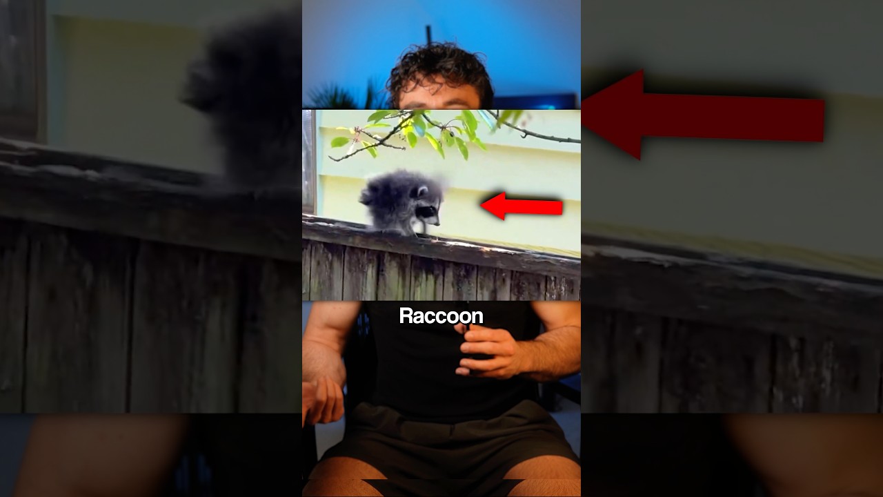 Jimothy is Himothy 😭🙏