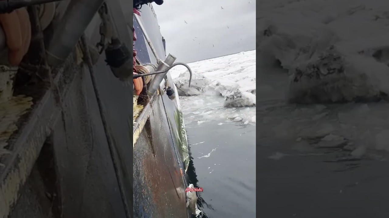 🎣 سحب خيط عملاق من مياه الثلج ❄️ صيد مذهل!