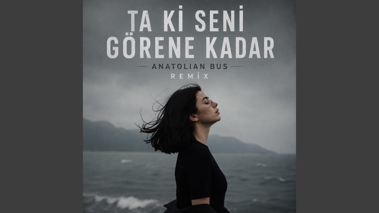 Ta ki seni görene kadar - anatolian bus (Remix)