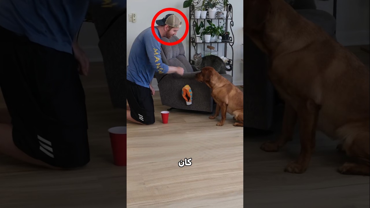 تعليم الرجل لحيواناته انتهى بكارثة!⭕😮