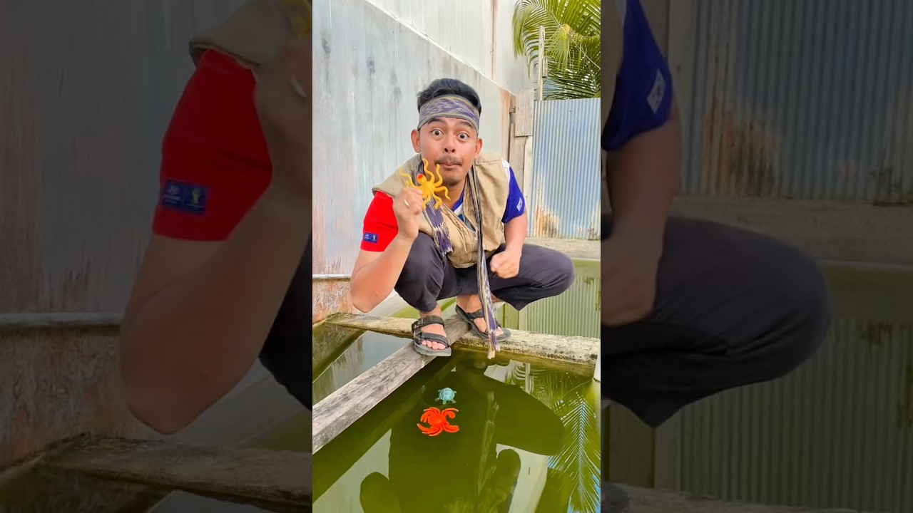 hewan laut mana yang akan tenggelam !