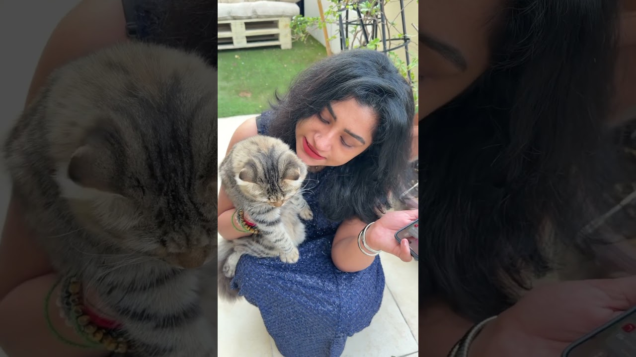 Pet adoption