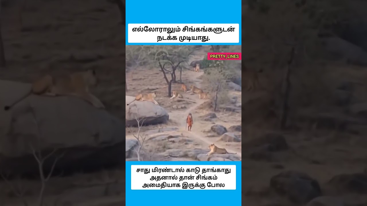 ஒரு சாதுவின் தைரியம் #shorts
