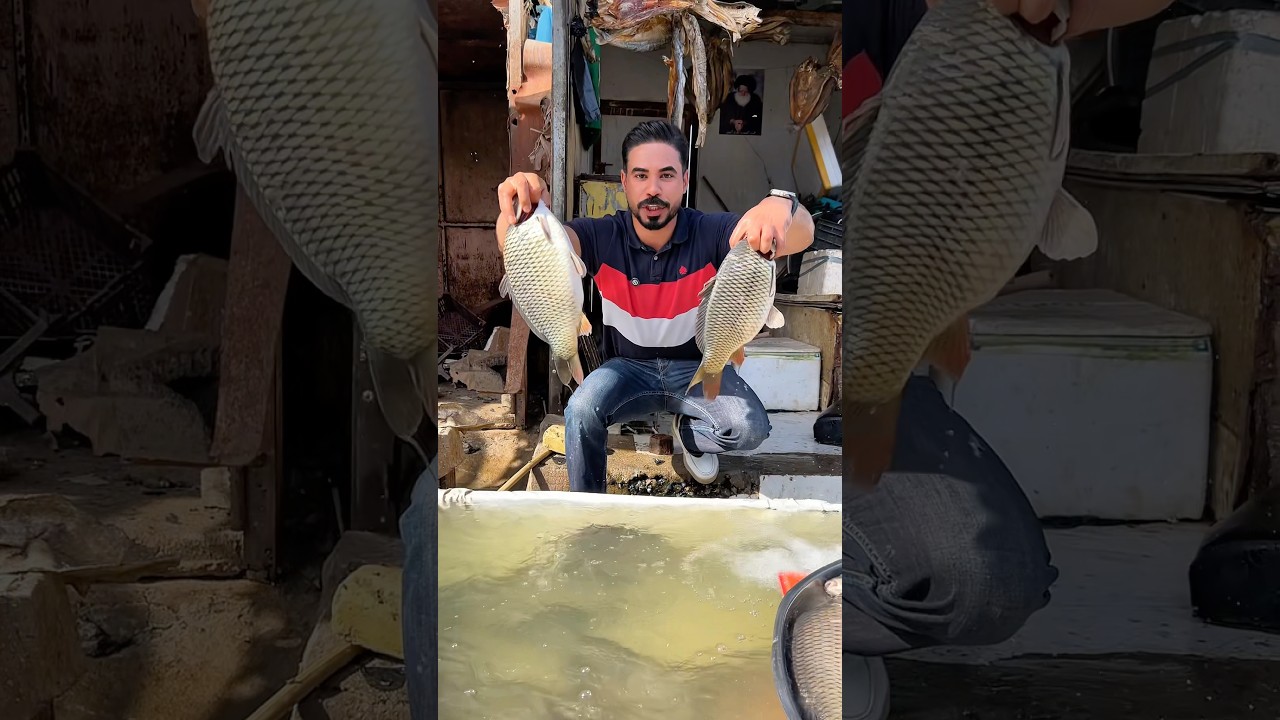 اكلنا السمج وما عرفنا نثية لو فحل ؟ 🤔 #سمك #سمك_مشوي #سمك_مسكوف #طبخ #وصفات