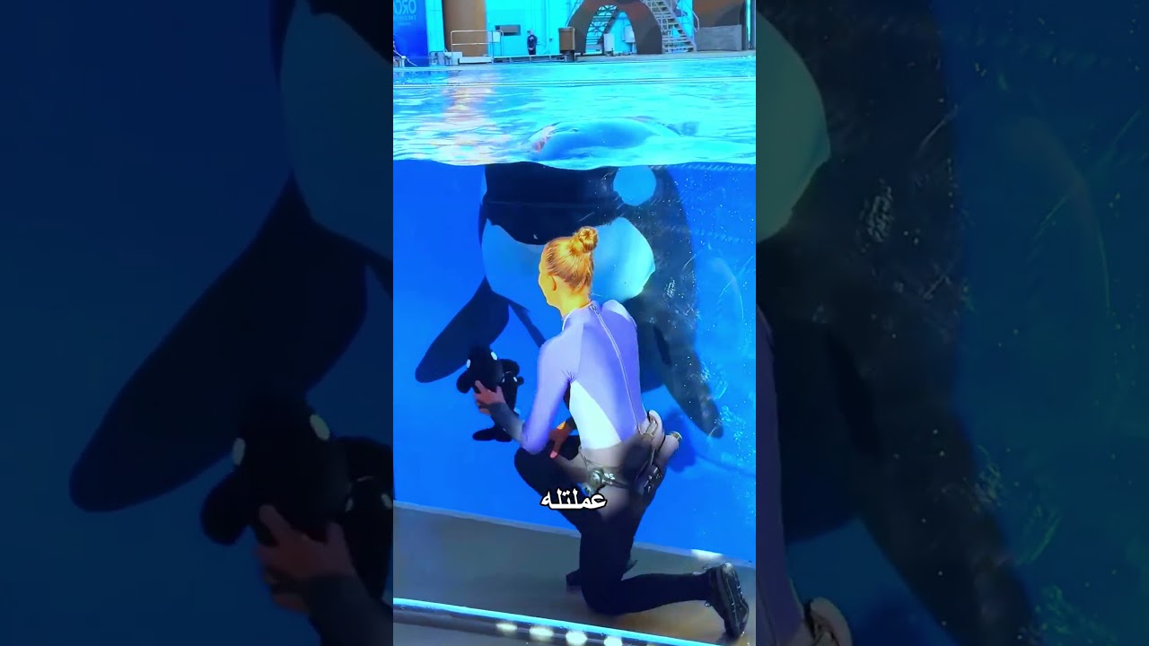 دولفين اتخدع بلعبة كيوت 😂🐬