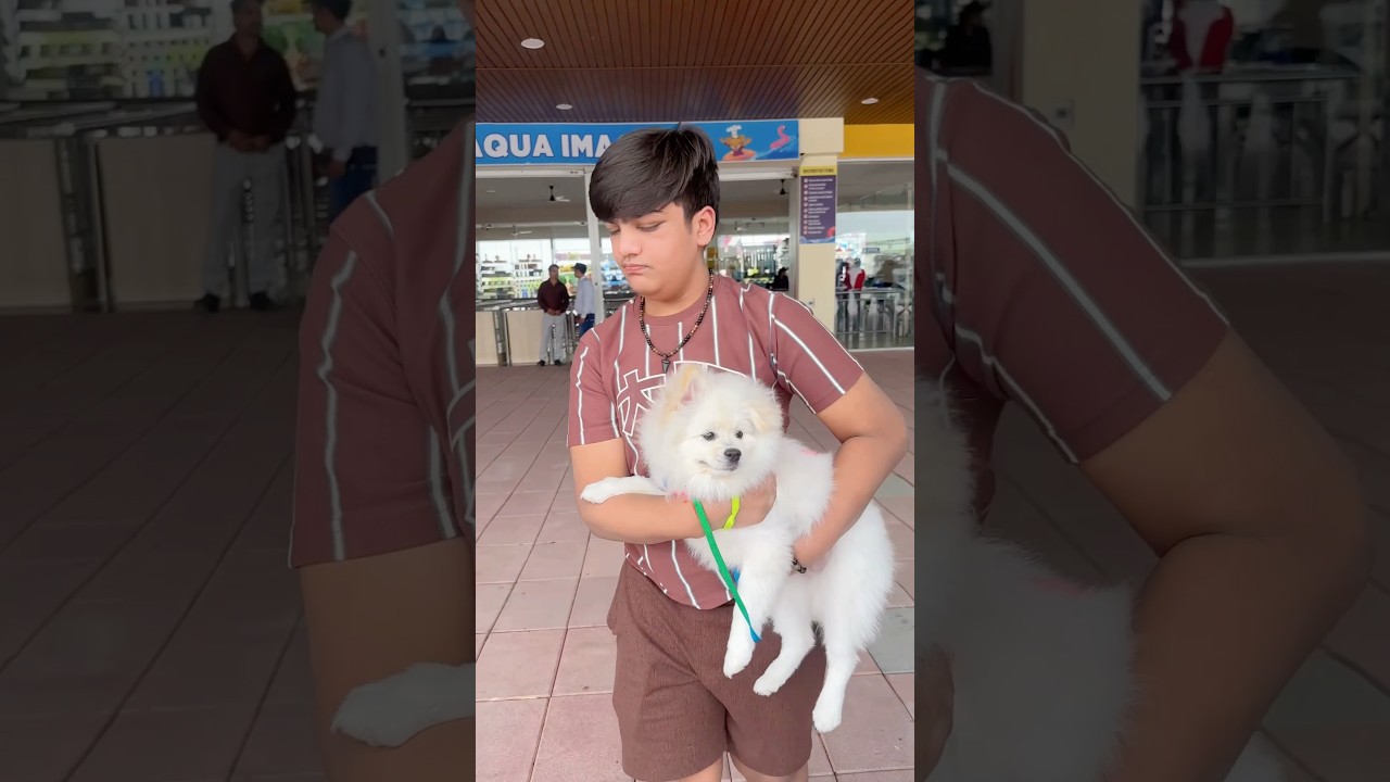 Pogo Ko waterpark Nahi Jane diya🥺🏖️ #youtubeshorts #sadstory #hearttouching