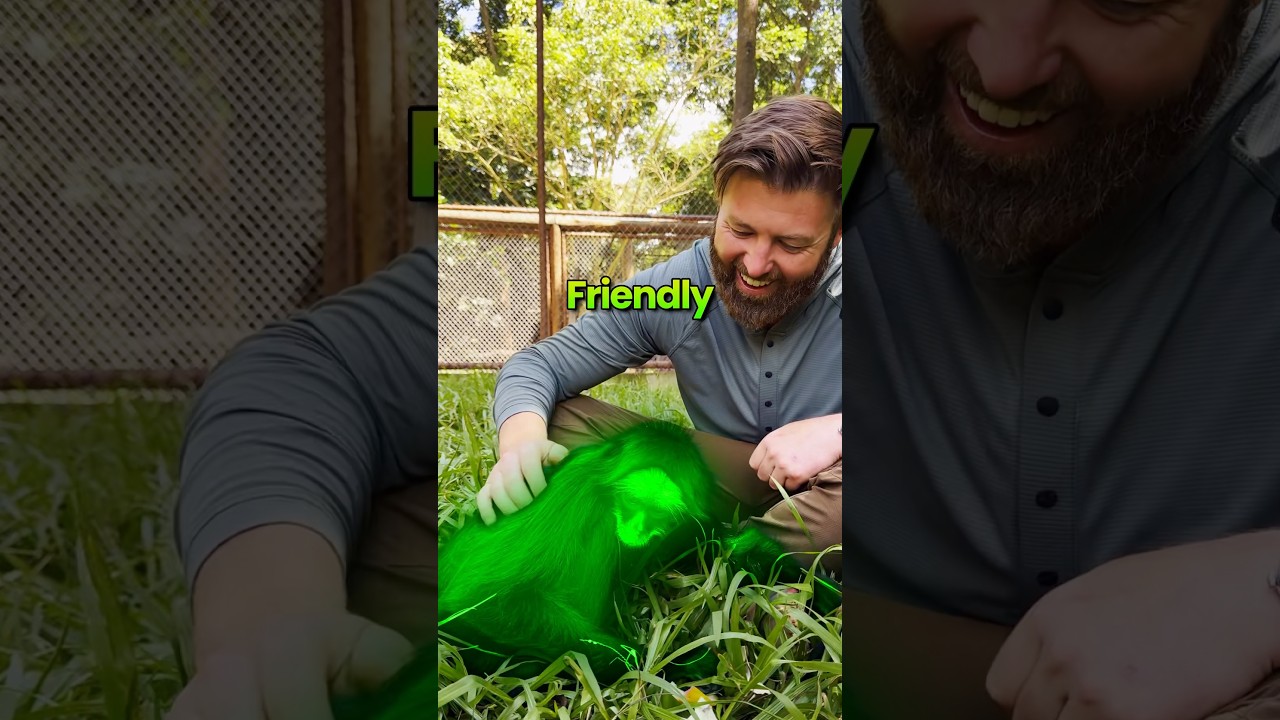 Friendly Or Not Friendly?