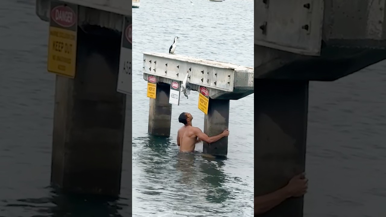 Hero Jumps Into Sea To Save a Seagull