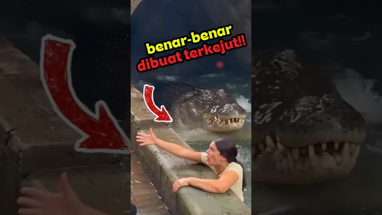 Kalau Dilihat dari Sini, Hewan Ini Jadi Beda Banget