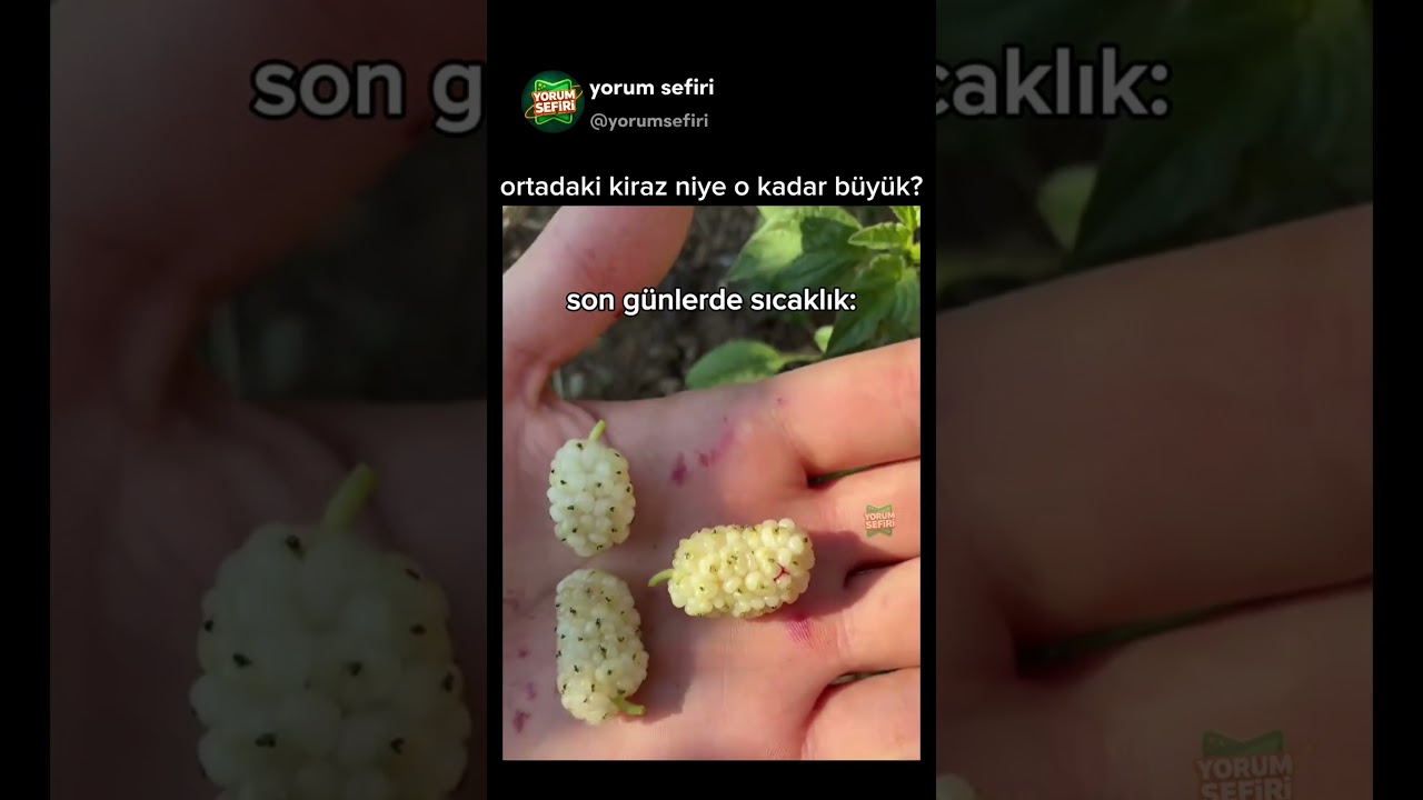 ortadaki kiraz niye o kadar büyük?😅