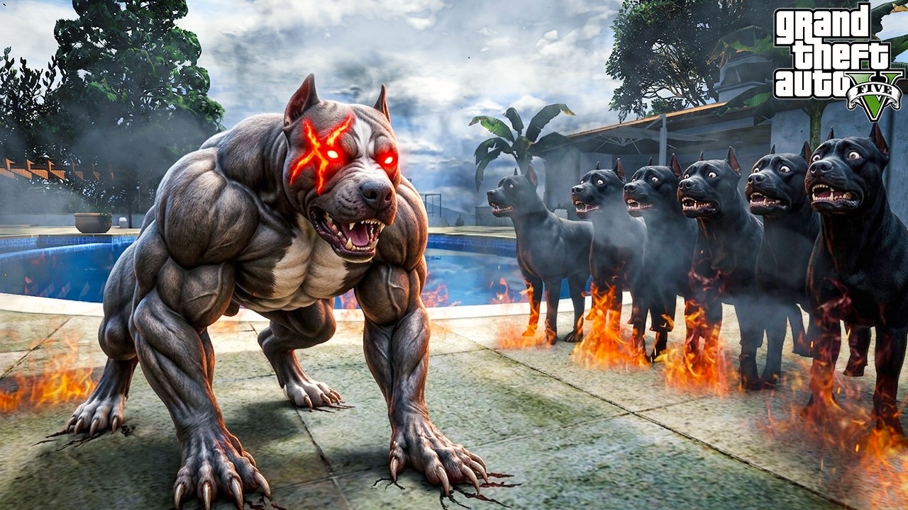 MÜHÜR TERMİNATÖR'E GEÇTİ! ARTIK KRAL PİTBULL O! - GTA 5 PİTBULL'UN HAYATI