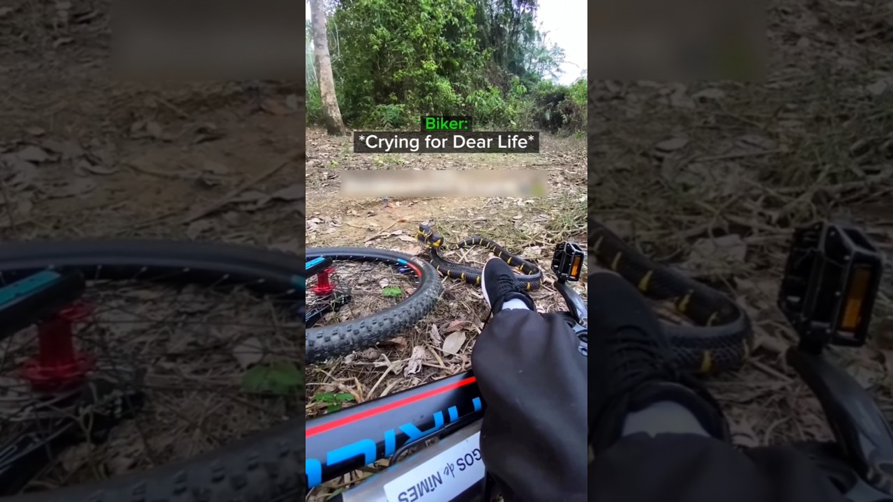 Biker realizes it’s over💀