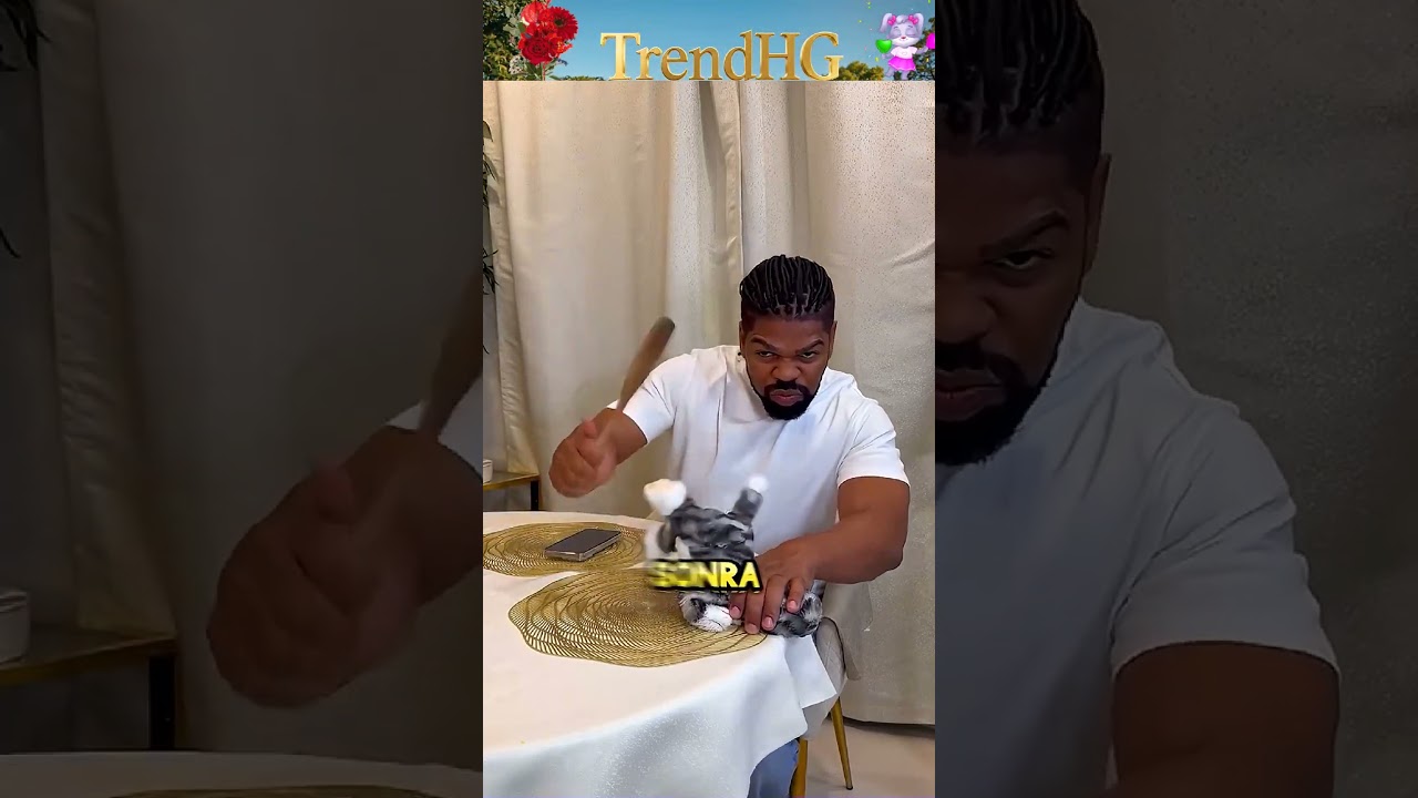 kedi eğitimi #keşfet