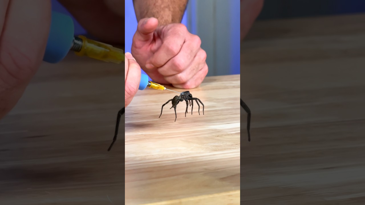 How Do Spider Legs Actually Work? - Published by Mark Rober