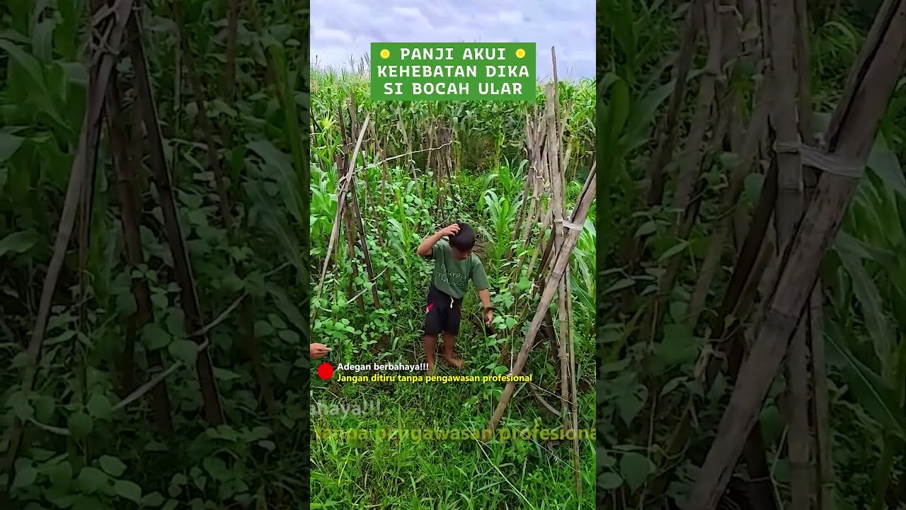 PANJI MENGAKUI KEHEBATAN DIKA SI BOCAH ULAR