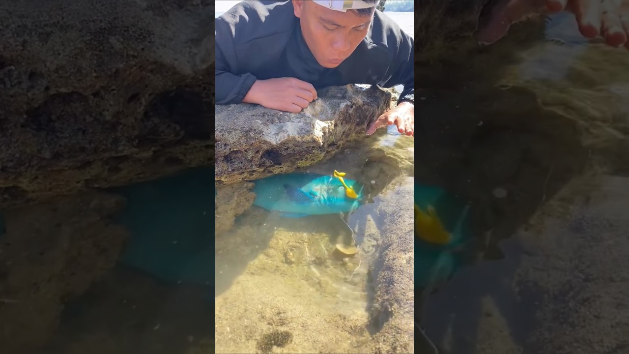 صائد قرر يمسك اندر سمكه ! 😱 #shorts