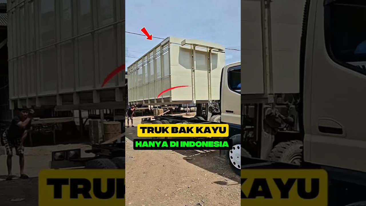 TRUI BAK KAYU HANYA ADA DI INDONESIA!