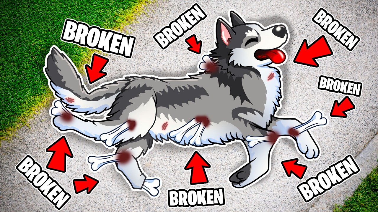 Breaking Every Bone As a Dog In GTA 5...