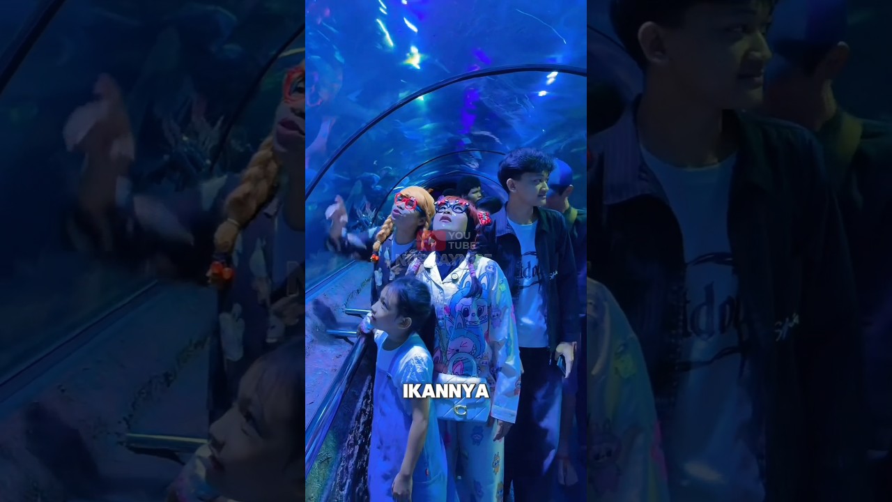 NUR MENYELAM, KASIH MAKAN IKAN? | NURRAYNI25