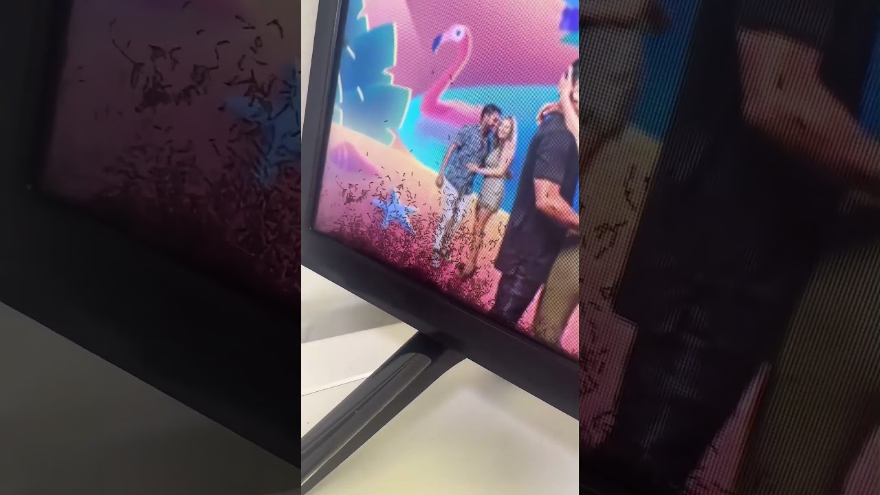 Formigas Estão Morando Dentro Dessa TV 😳